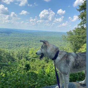 Meet your Posher, Diego